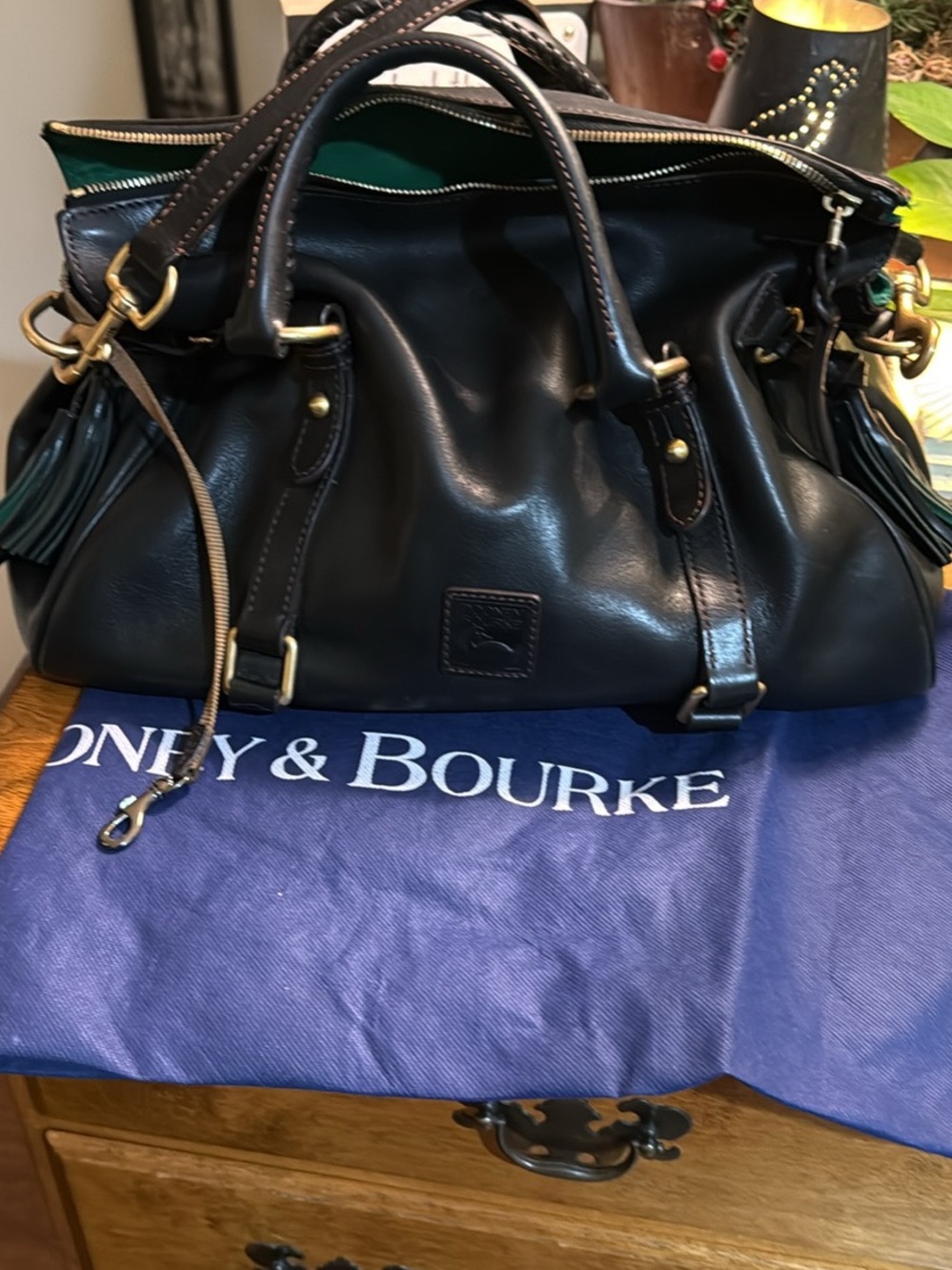 Dooney & Bourke Black Leather Satchel with Green Interior Trim